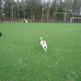 Foto van Sabine en Mini Max