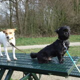 Foto van julia en spike