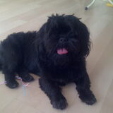Foto van julia en spike