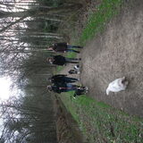 wandelen =)