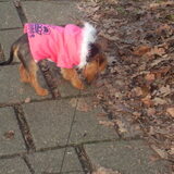 toen was Misty nog een pupje!
