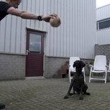 Foto van Ilona & Iza