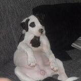 FF chillen