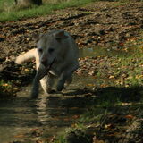 Foto van Floortje Faun
