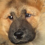 Onze Bob alweer 4 maanden