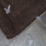 Ben helemaal niet stout geweest, ... Yenzo heeft het gedaan!!!! Darco…