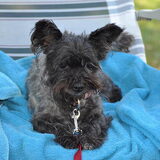 Bo in de stoel op de camping in rheinmunster.