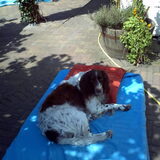 in de tuin op MIJN matras XD
