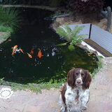 In de tuin :)