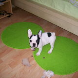 Kleine Angel