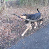 Foto van Claudia & Tank