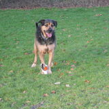 Foto van Claudia & Tank