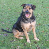 Foto van Claudia & Tank