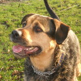 Foto van Claudia & Tank