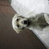 Foto van EliNe_