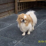 Foto van roxanne & balou