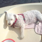 oeh lekker slapen op de boot in de zon... mmm