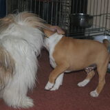Foto van Carla & Macho