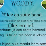 voor silke