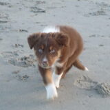 Fire voor het eerst op het strand
