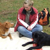 Foto van Lizy en de doggies