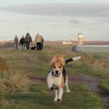 Joep in actie