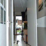 Foto van Bassie