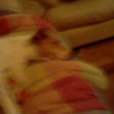 max sleeping