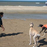 ons dagje op het strand