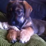 Onze Indy!!
