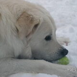 Lekker spelen in de sneeuw