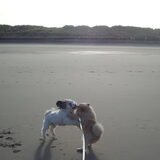 Sammy en Cloudy