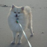 Cloudy voor het eerst op het strand *love*