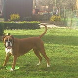 Foto van Ronnie & ««Jara»»
