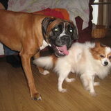 Ziva en Twinky