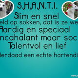 shanti
