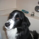 woody in de douche