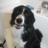 woody in de douche