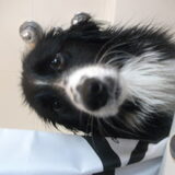 woody in de douche