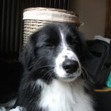 woody in zijn nestje!!=)