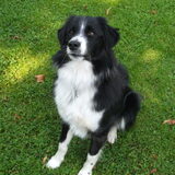 heb ik geen mooi koppie?!! =)
