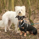 Foto van team Shadow