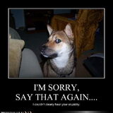 whahahahaa