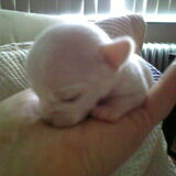 Foto van lady
