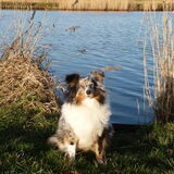 Foto van Lizzie en Sterre