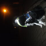 met woody wandelen
