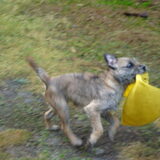 Weekendje weg ~ skippybal kapot gebeten