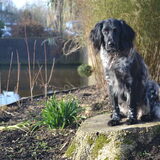 Foto van Maks met Fenna & Yuna