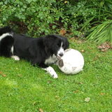mijn bal!!
