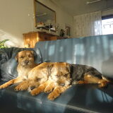 Lekker genieten van de zon.Februari 2012.